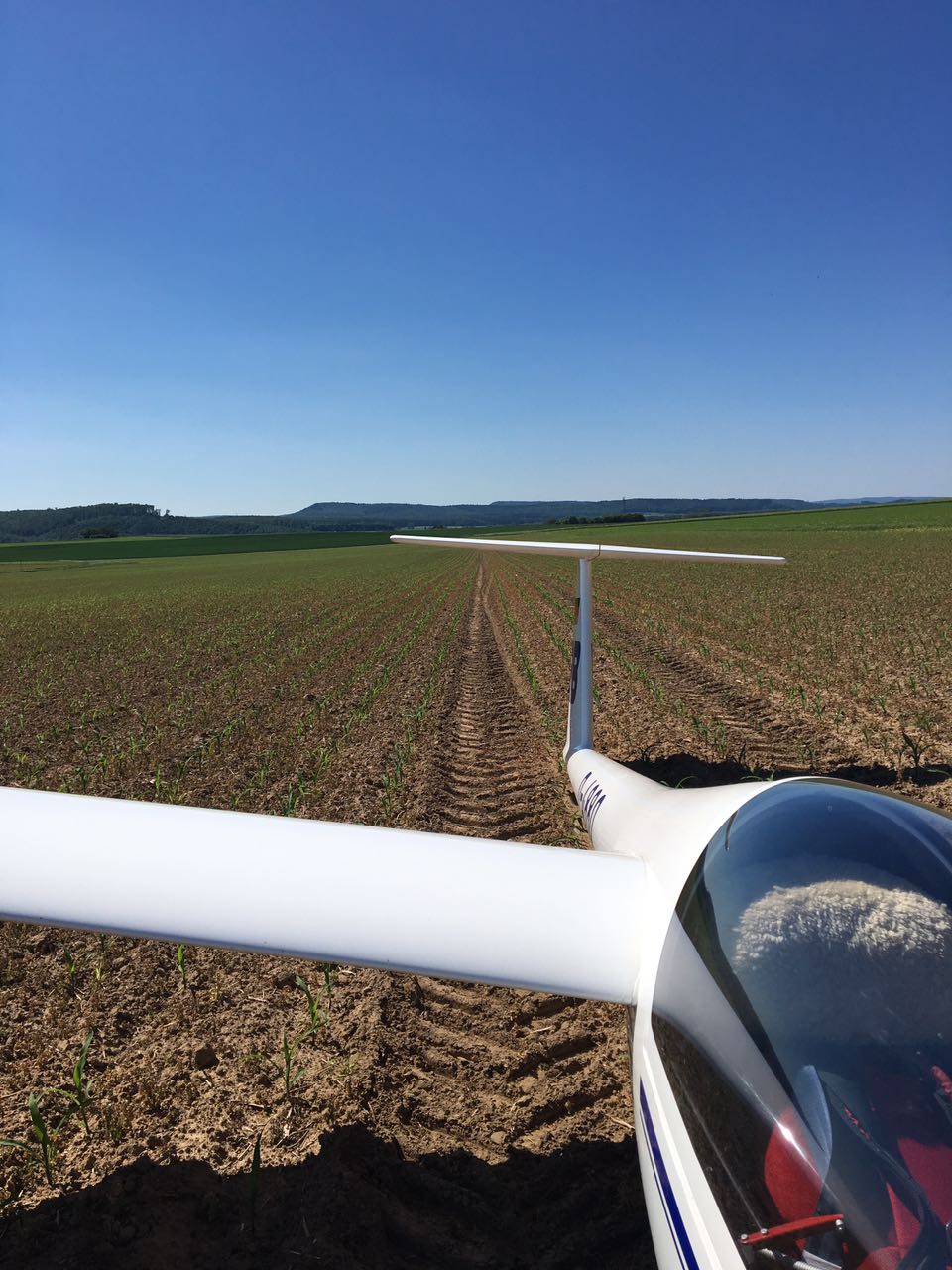 WhatsApp Image 2017 05 29 at 10.29.49